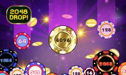 Play 2048 Drop now!