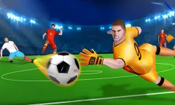 Flick Goal