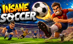 Play Insane Soccer Now!
