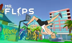Mr Flip
