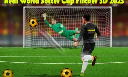 Play Real World Soccer Cup Flicker 3D 2023 now!